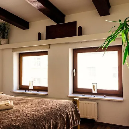 Luxery Flat With Netflix In City 5min To Harbour Flensburg